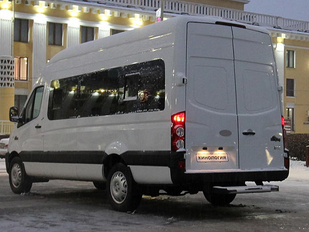 Автомобиль для перевозки собак модель 365022